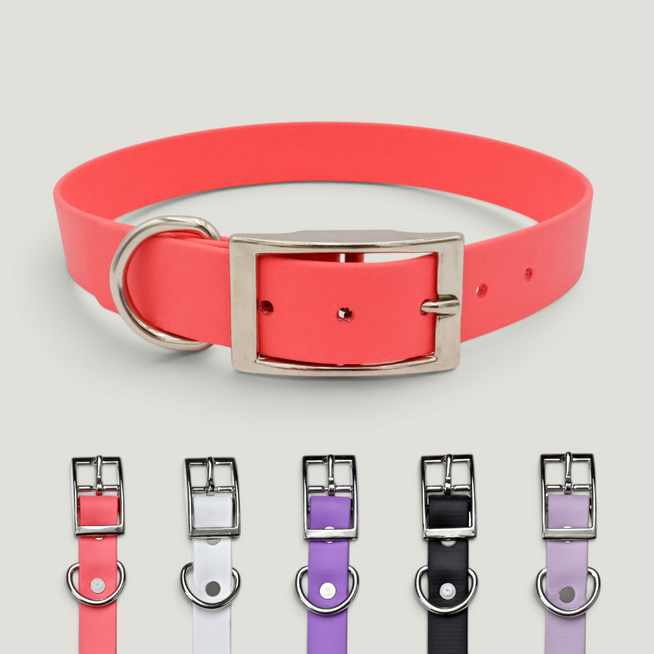 Tailr Collar de uso diario