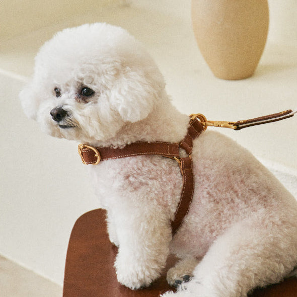 ROMA HARNESS view 12 – Nala's Pet Boutique