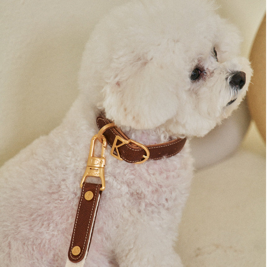 ROMA LEASH angle view – Nala's Pet Boutique