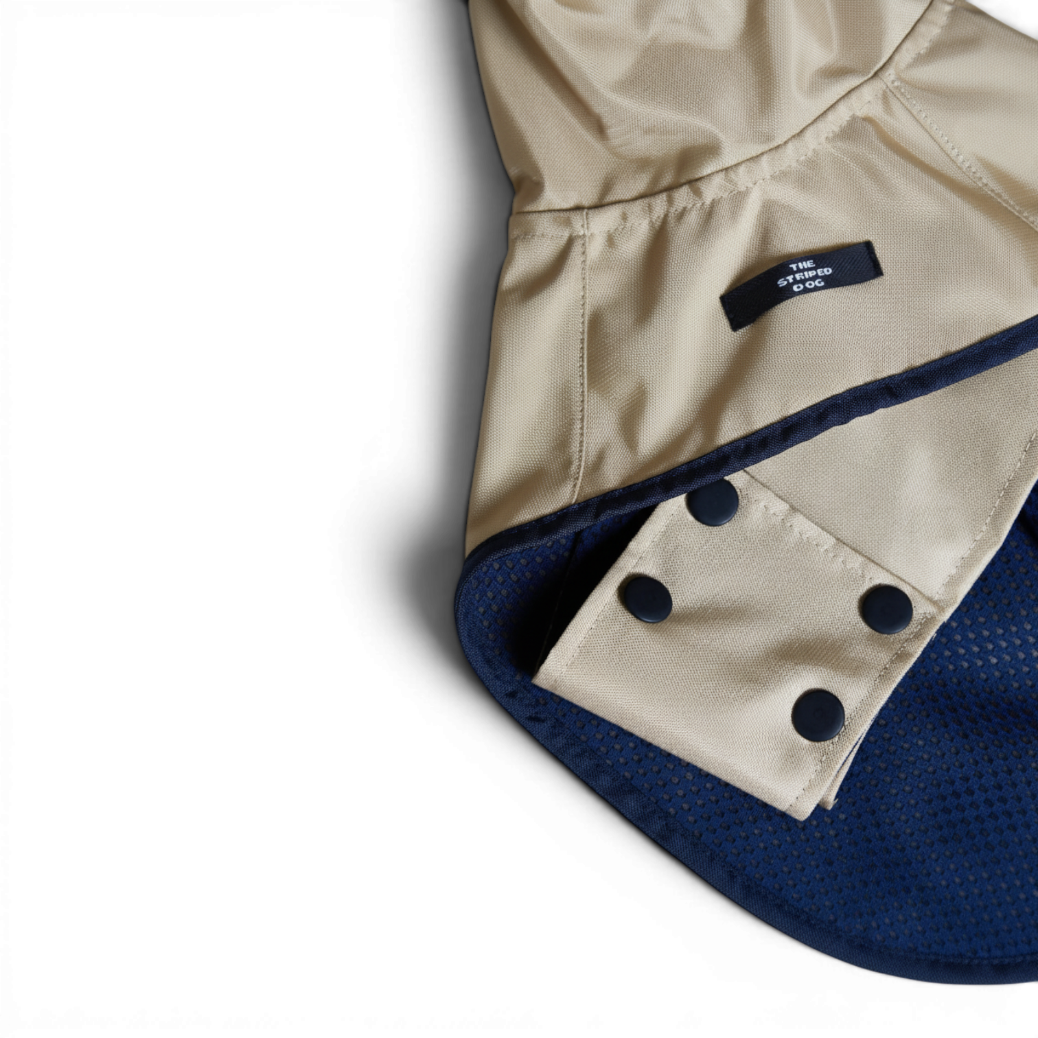 Paramount Cape