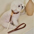 Cargar la imagen en la vista de la galería, ROMA LEASH top view – Nala's Pet Boutique
