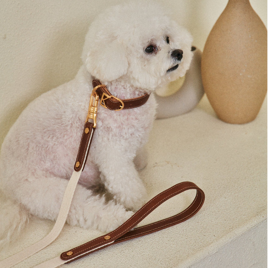 ROMA LEASH top view – Nala's Pet Boutique