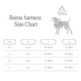 Cargar la imagen en la vista de la galería, ROMA HARNESS view 17 – Nala's Pet Boutique
