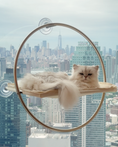 Load image into Gallery viewer, Orbit Window Hammock
