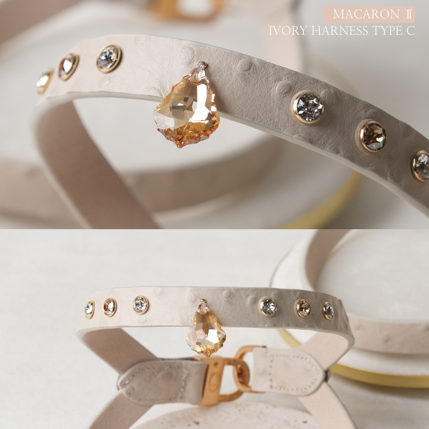 MACARON II-C Harness