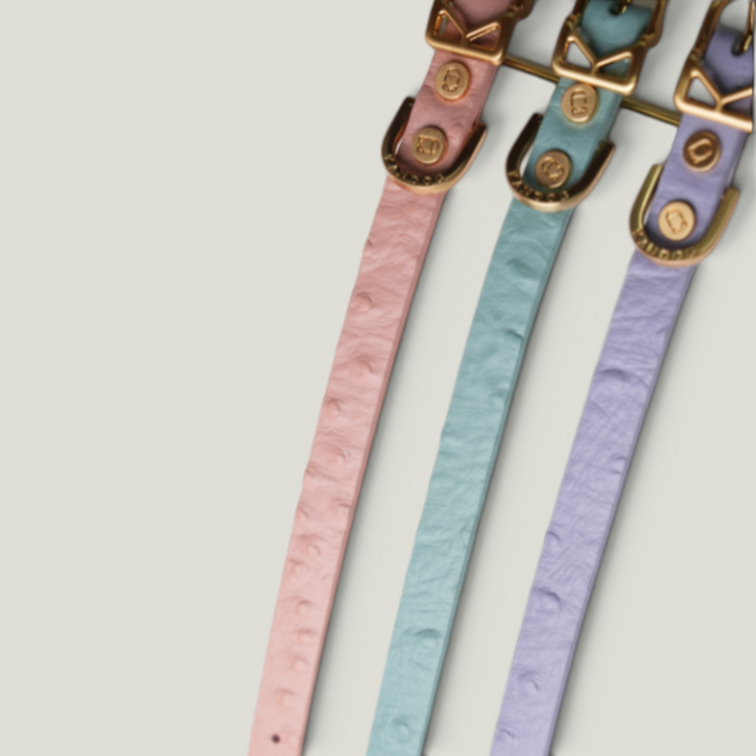 Macaron II-A Leather Collar