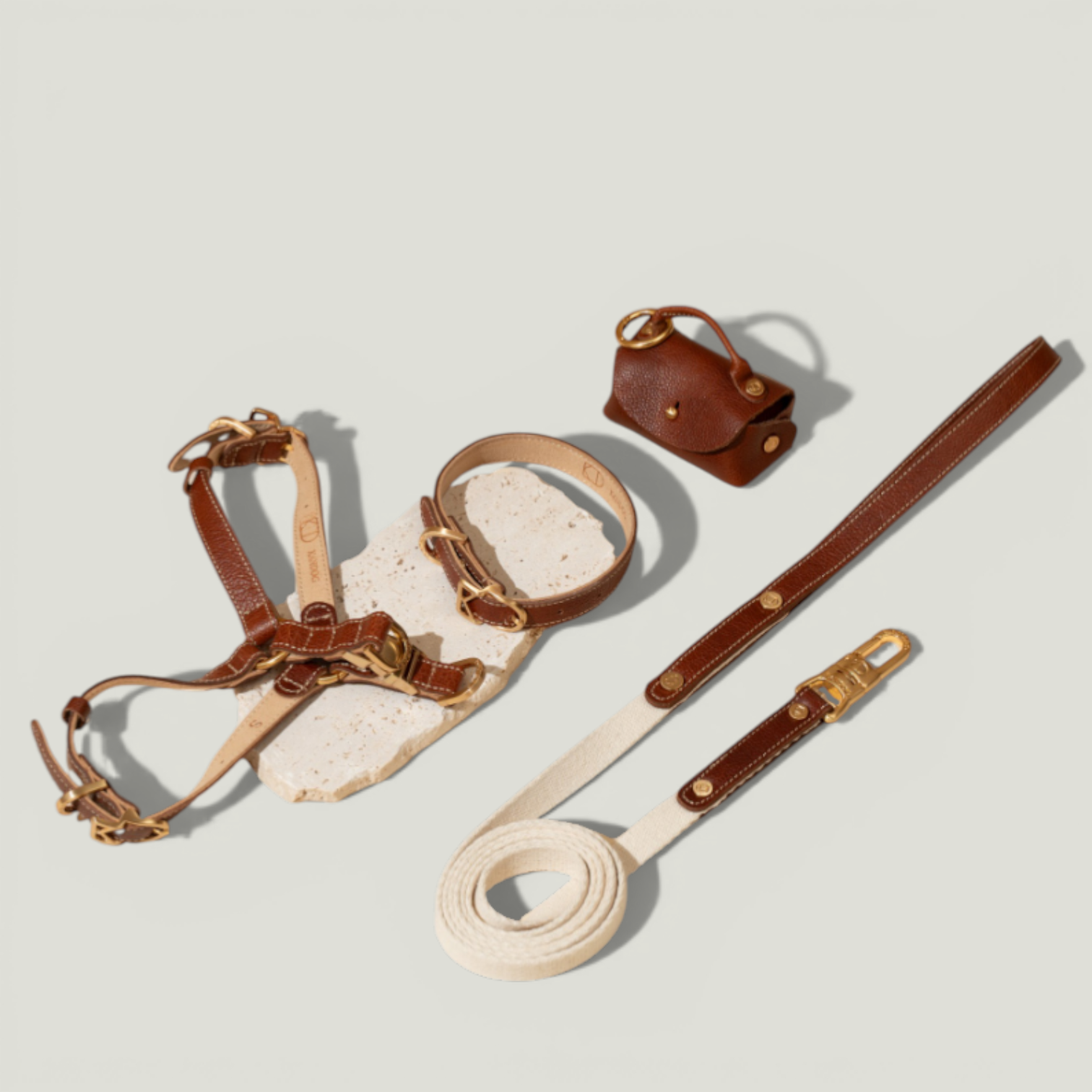 ROMA Collar close-up – Nala's Pet Boutique