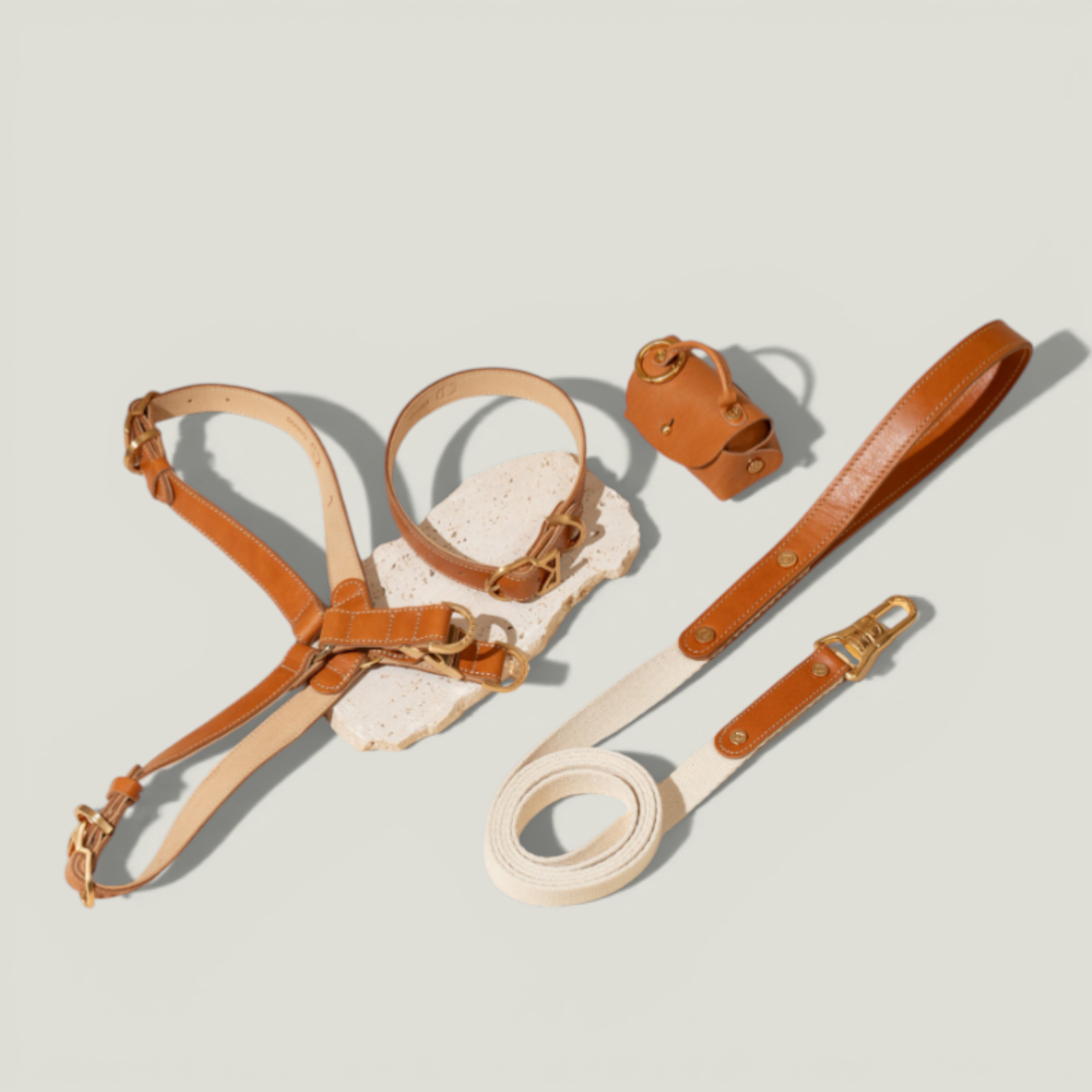 ROMA Collar product shot – Nala's Pet Boutique