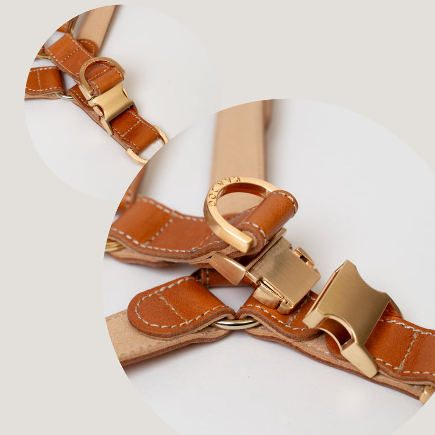 ROMA HARNESS view 11 – Nala's Pet Boutique