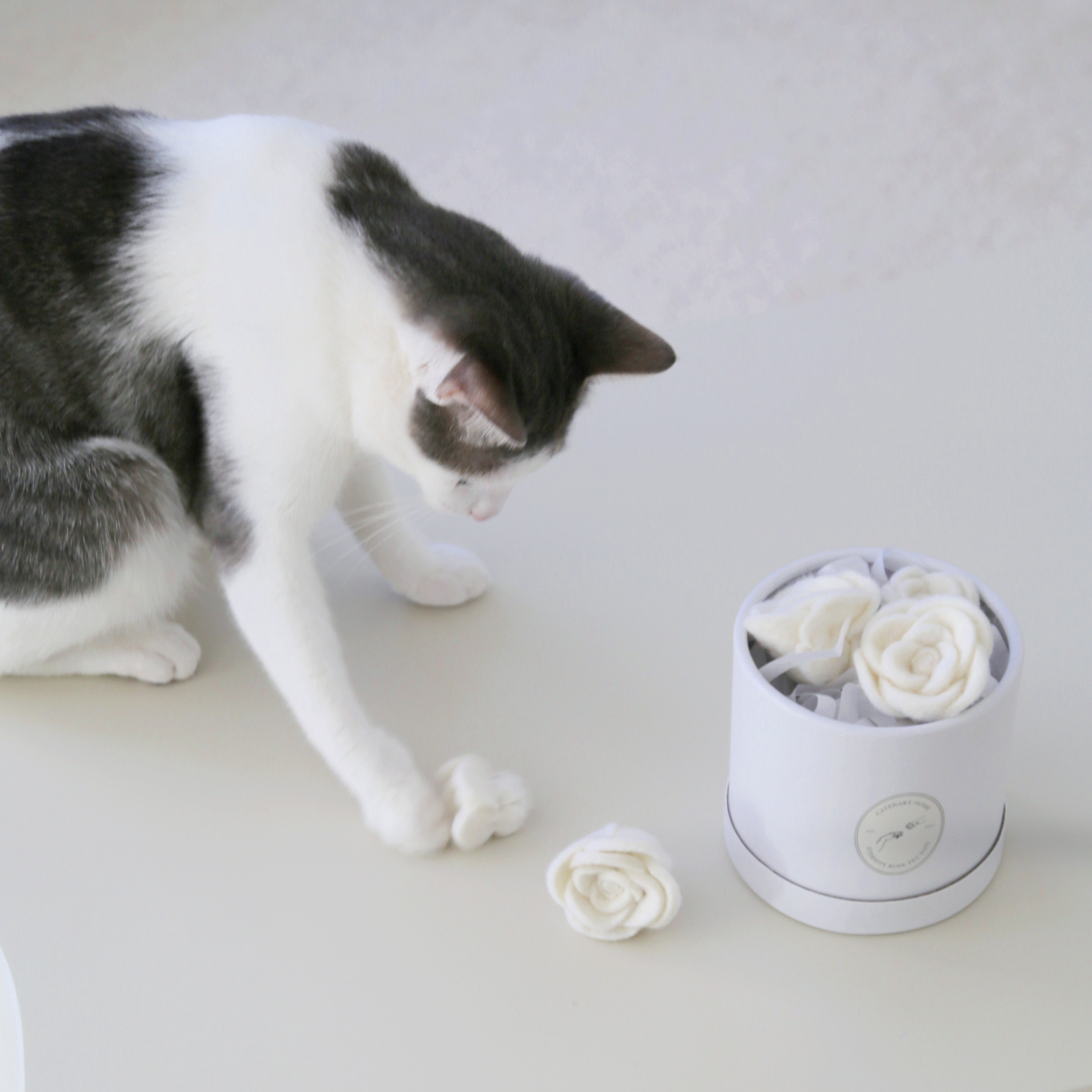Flora Eterna Cat Toy