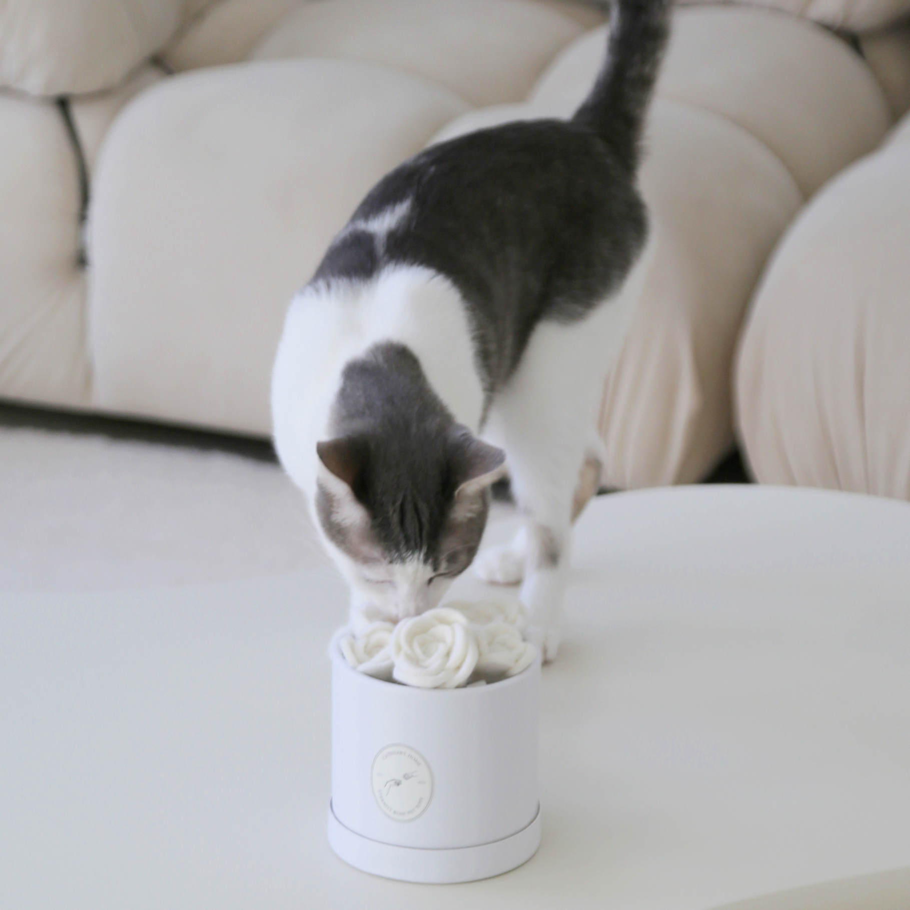 Flora Eterna Cat Toy