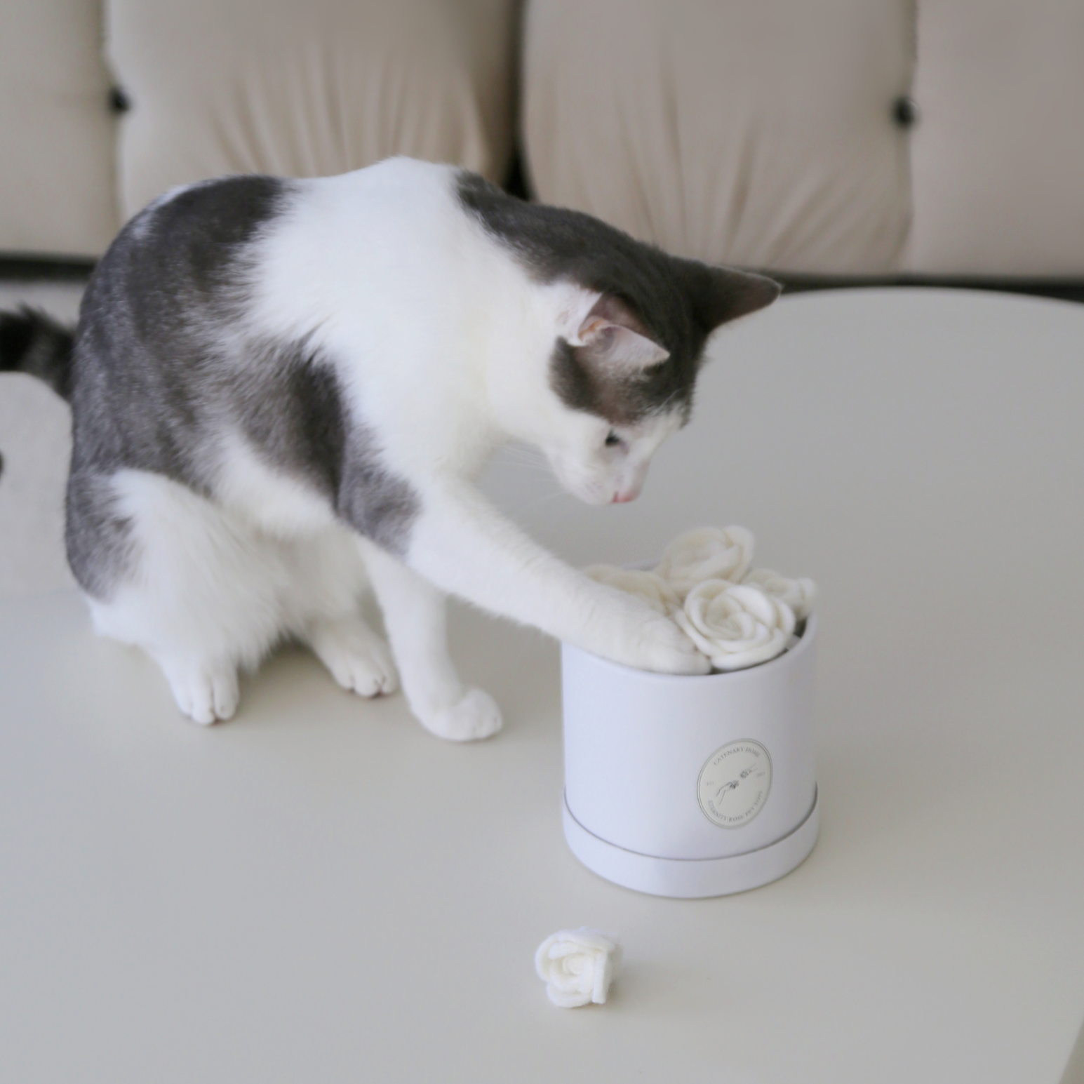 Flora Eterna Cat Toy