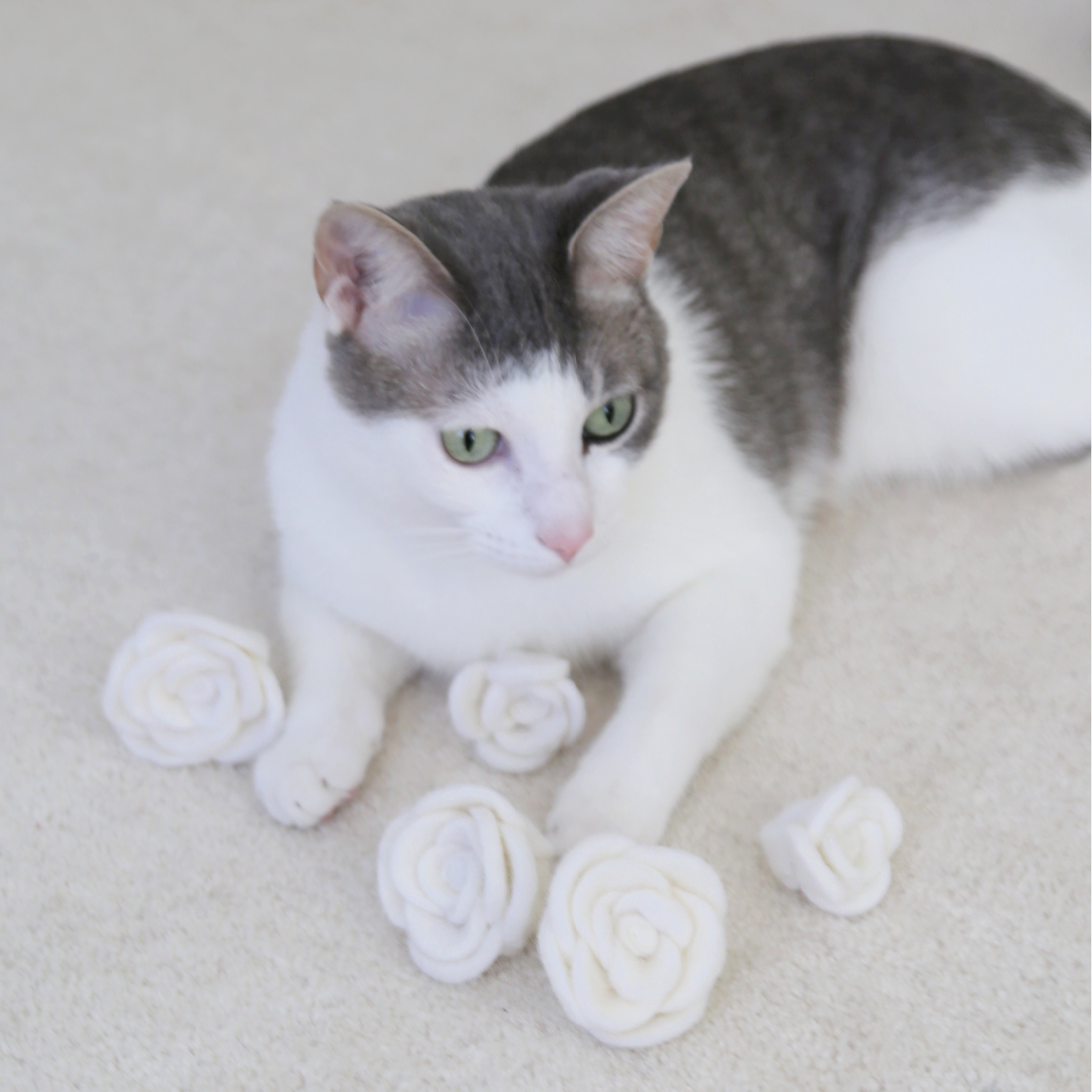 Flora Eterna Cat Toy