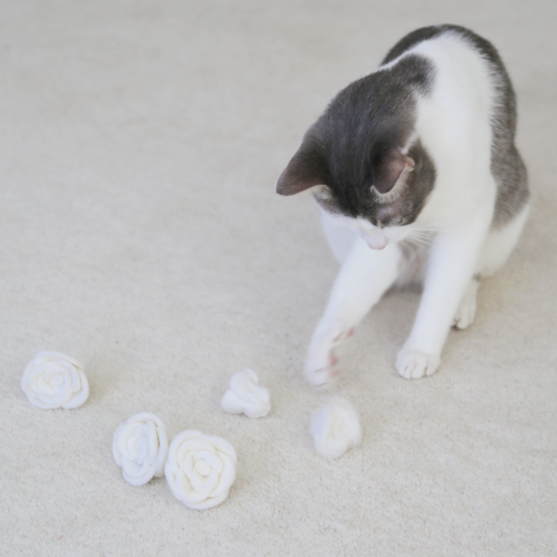 Flora Eterna Cat Toy