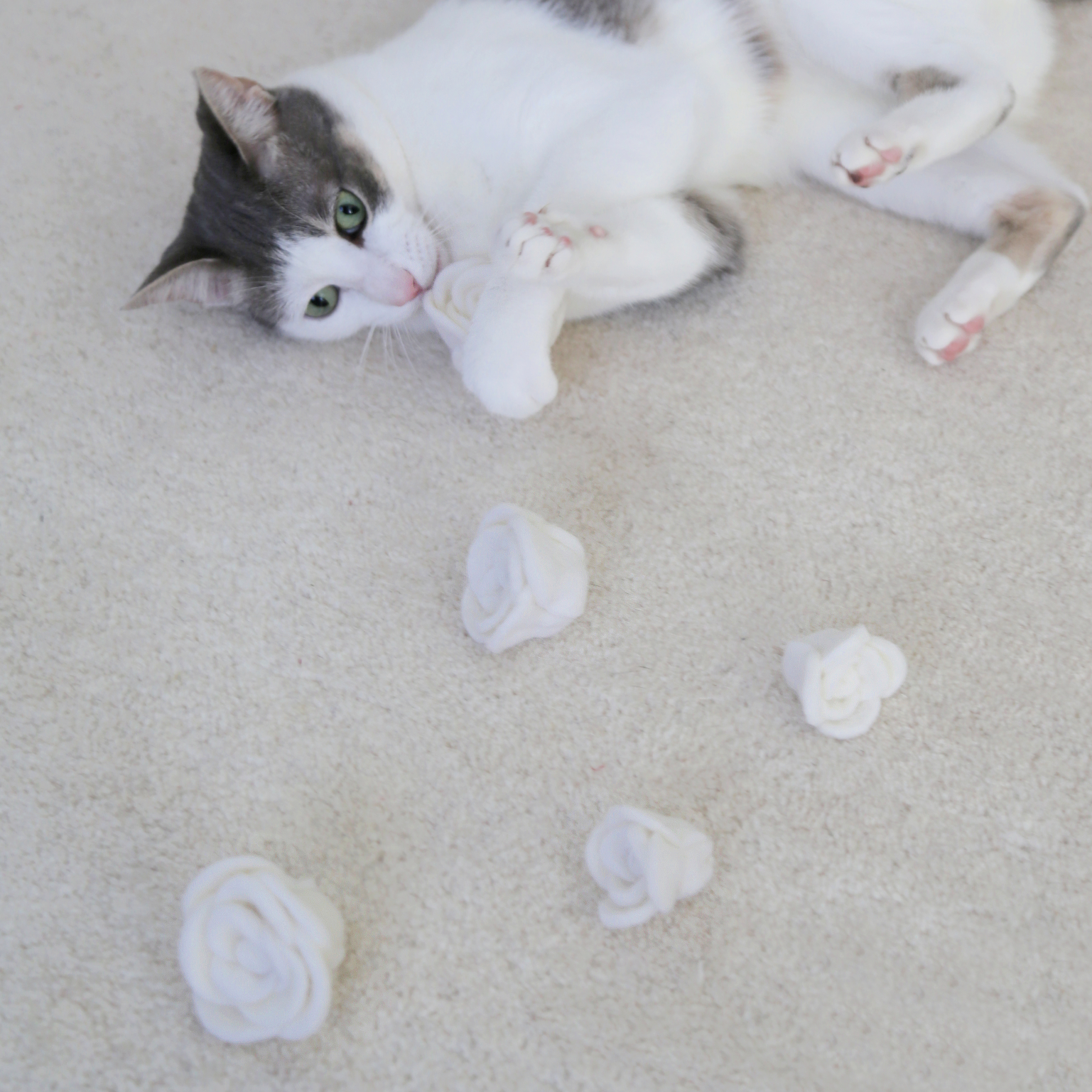Flora Eterna Cat Toy