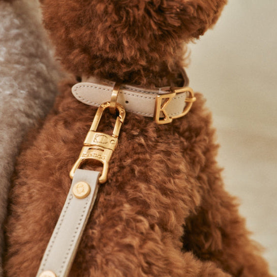 MACARON Collar product shot – Nala's Pet Boutique