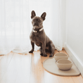 Cargar la imagen en la vista de la galería, Silicone Bowl in Sand – Nala's Pet Boutique
