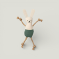 Load image into Gallery viewer, Bunny Rope Cat Toy
