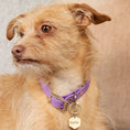 Load image into Gallery viewer, Tailr Classic Pet Tag
