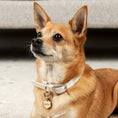 Load image into Gallery viewer, Tailr Classic Pet Tag
