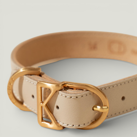 MACARON Collar detail view – Nala's Pet Boutique