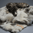 Load image into Gallery viewer, Tösse Blanket
