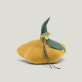 Load image into Gallery viewer, Cueva para gatos con forma de calabaza de Nala's Pet Furniture Boutique, hecha a mano con lana natural de Nueva Zelanda
