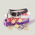 Load image into Gallery viewer, Tailr Everyday Collar
