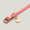 Load image into Gallery viewer, Tailr Everyday Collar
