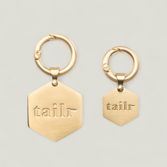 Tailr Classic Pet Tag