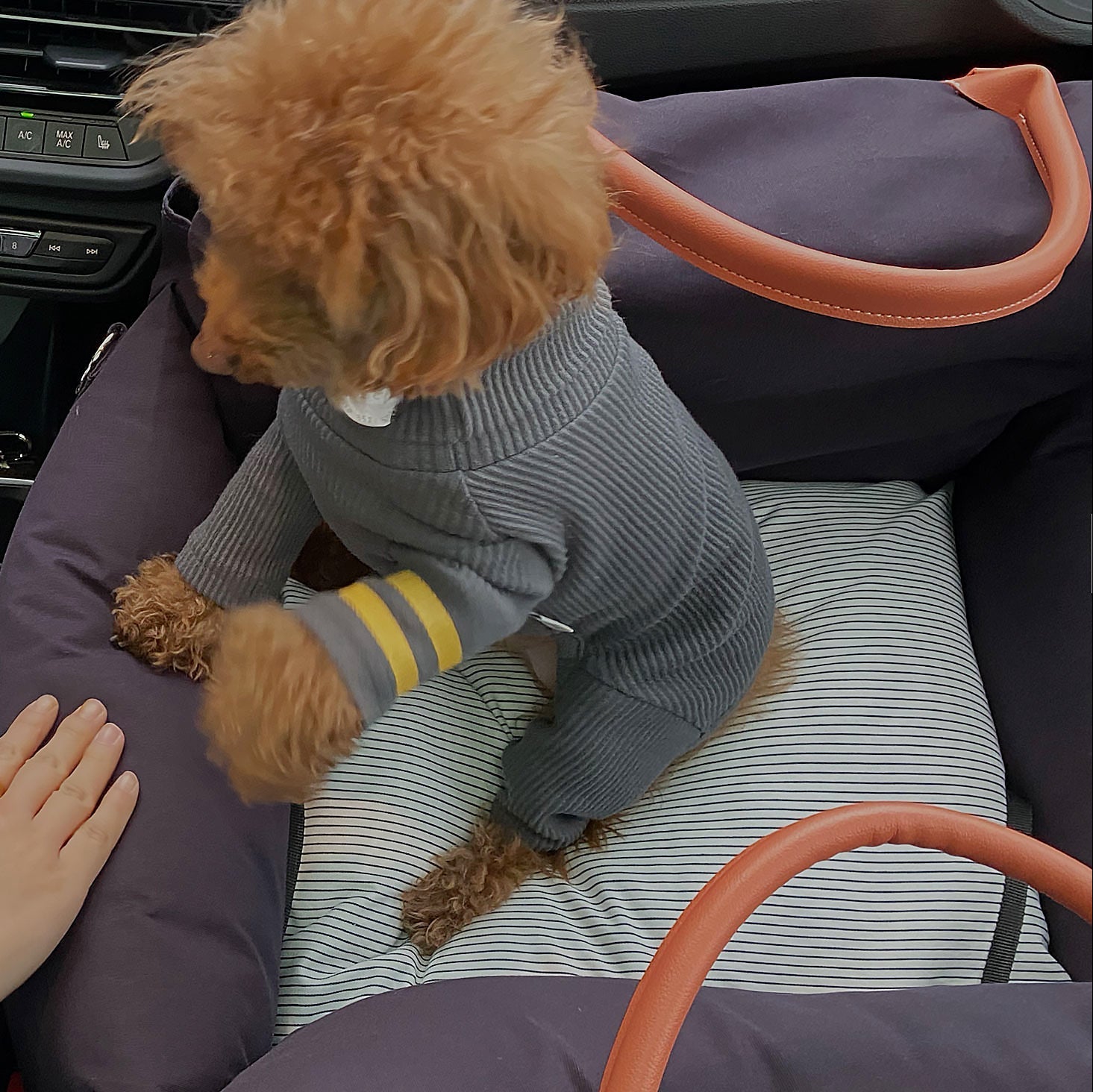 Voyage Car Seat . Violet