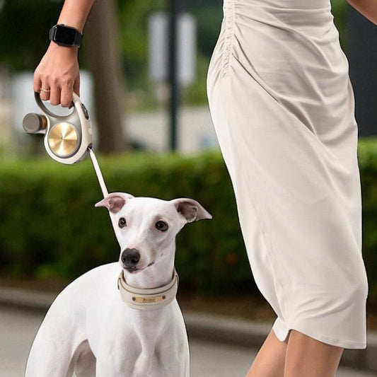 Go! Ultra - Beige in White – Nala's Pet Boutique