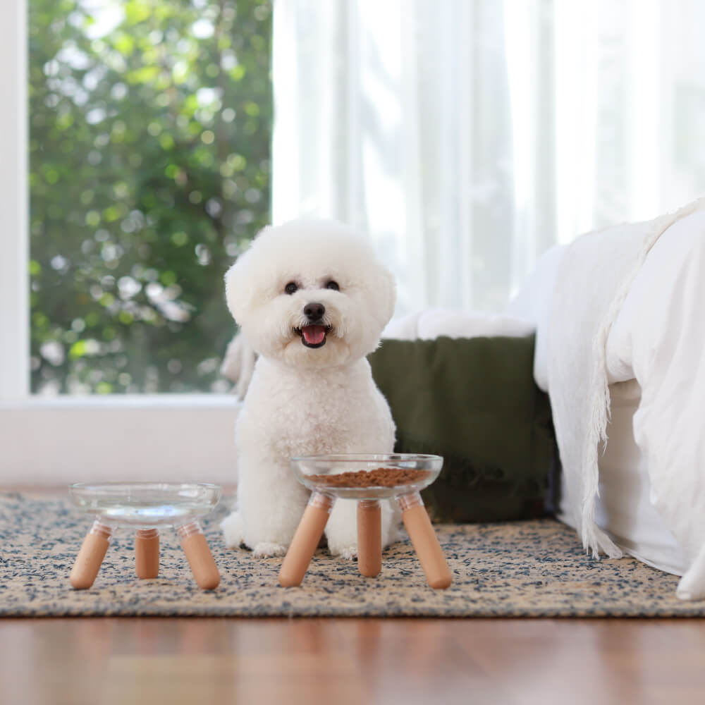 Oreo Glass Table