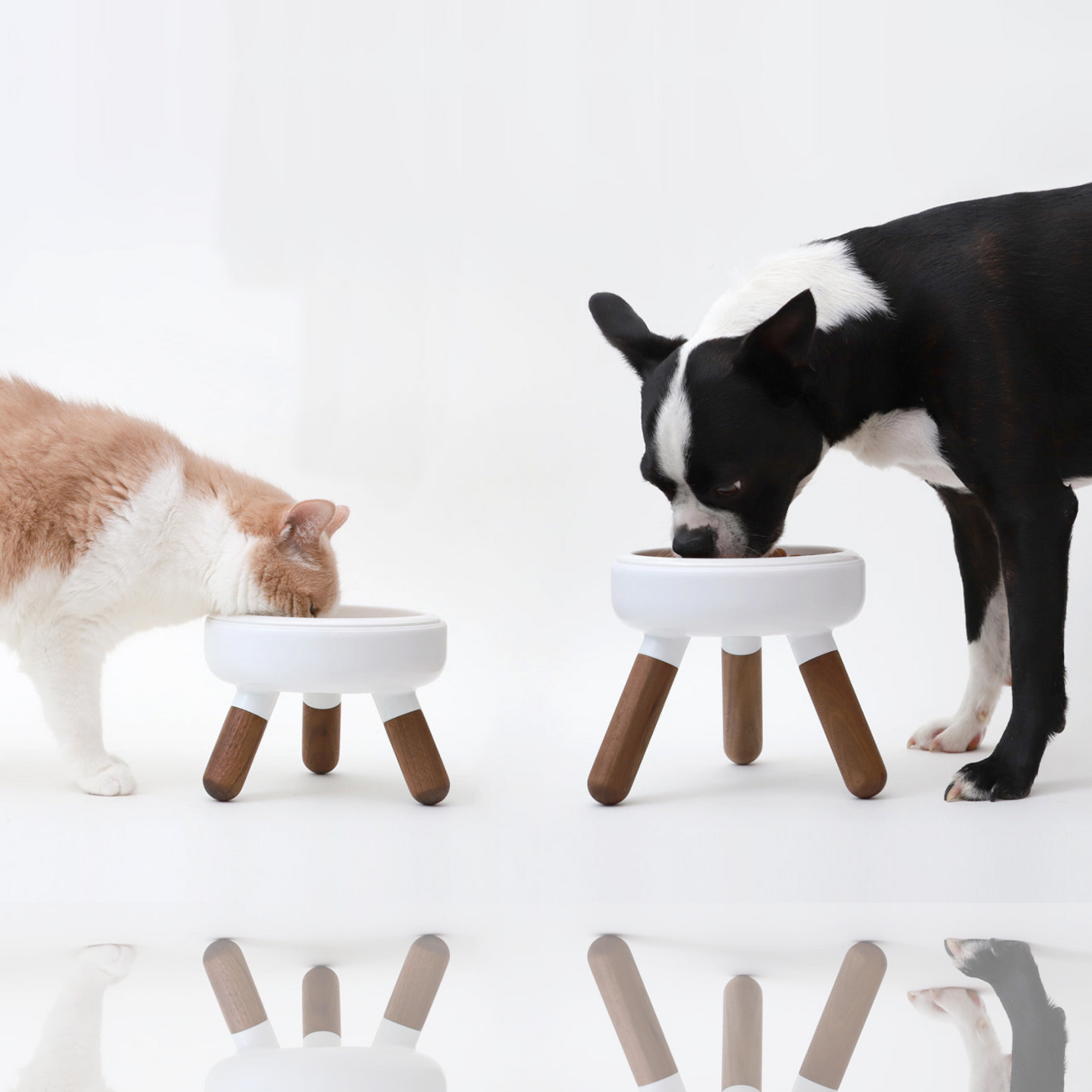 Pet bowl table equipped with an antibacterial porcelain bowl, a silicon base and 3 crafted wood legs.